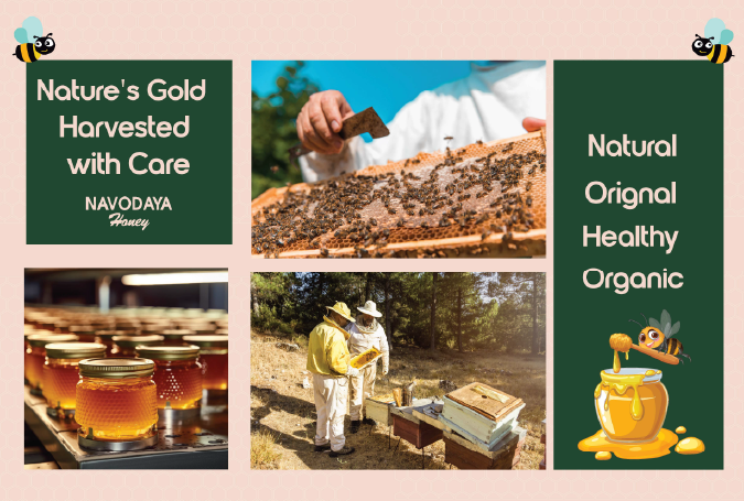 Navodaya Honey